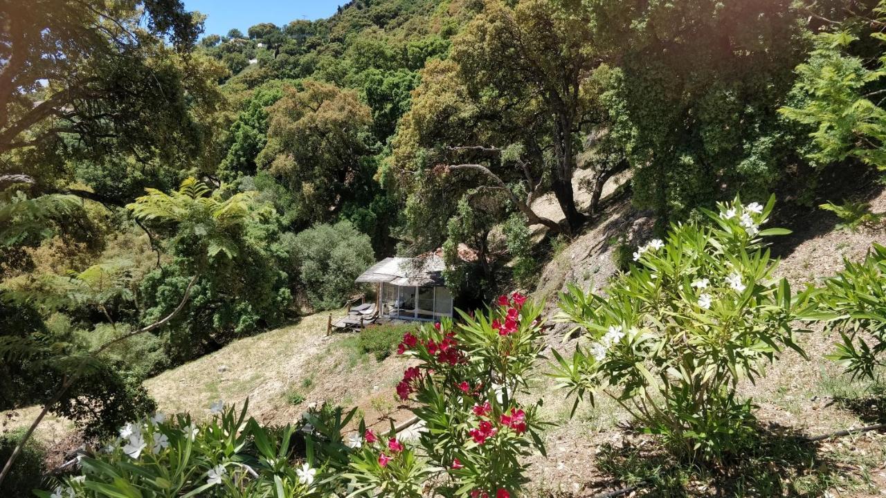Kia Ora Retreat Casares Exterior photo
